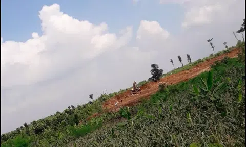 Viết tiếp bài Khoáng sản "chảy máu", chính quyền ngó lơ: Ai khóc cho đá mồ côi?